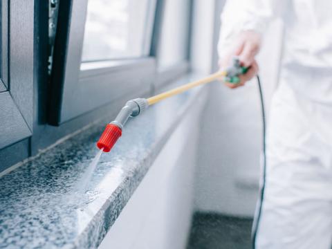 Pest Control & Fumigation